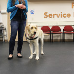 UDS Service Dog