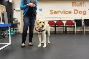 UDS Service Dog